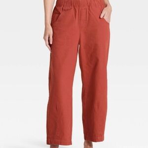 Universal Thread rust barrel pants.  Like Anthro Izzie XL
